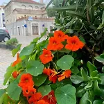 505 * 圣马蒂纽·杜·波特